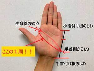 ロコ・レガン　ゴルフグローブのサイズ計測